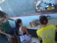 /album/oficina-de-embelezamento-pessoal/dsc05612-jpg/